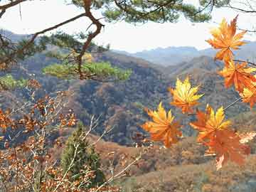 在哪里购买打胎药吃完打胎药坏肚子（吃完打胎药腹泻正常吗）